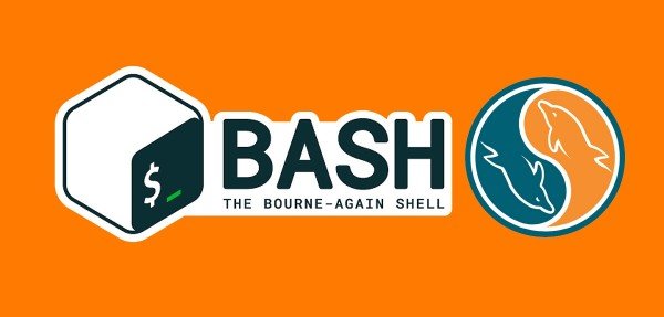 👉 Cómo ejecutar comandos MySQL desde Bash Shell