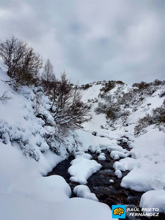 Conoce Fuentes de Invierno