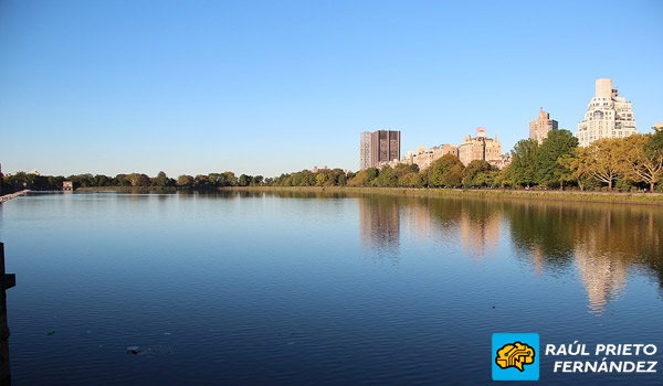 Qué visitar en New York