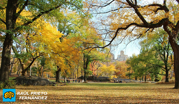 Qué visitar en New York