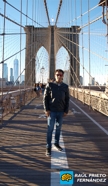 Qué visitar en New York