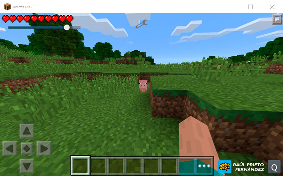 Minecraft en GNU/Linux Debian