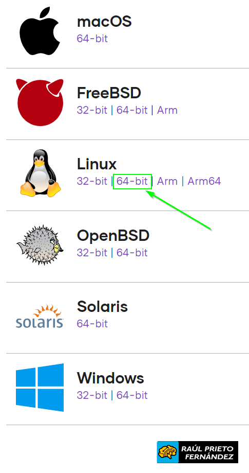 Instalar Terraform GNU/Linux Instalar Terraform GNU/Linux