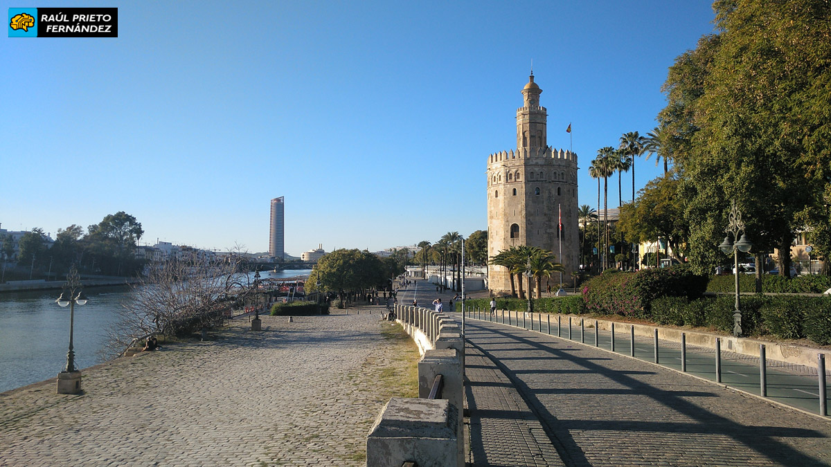 Qué visitar en Sevilla
