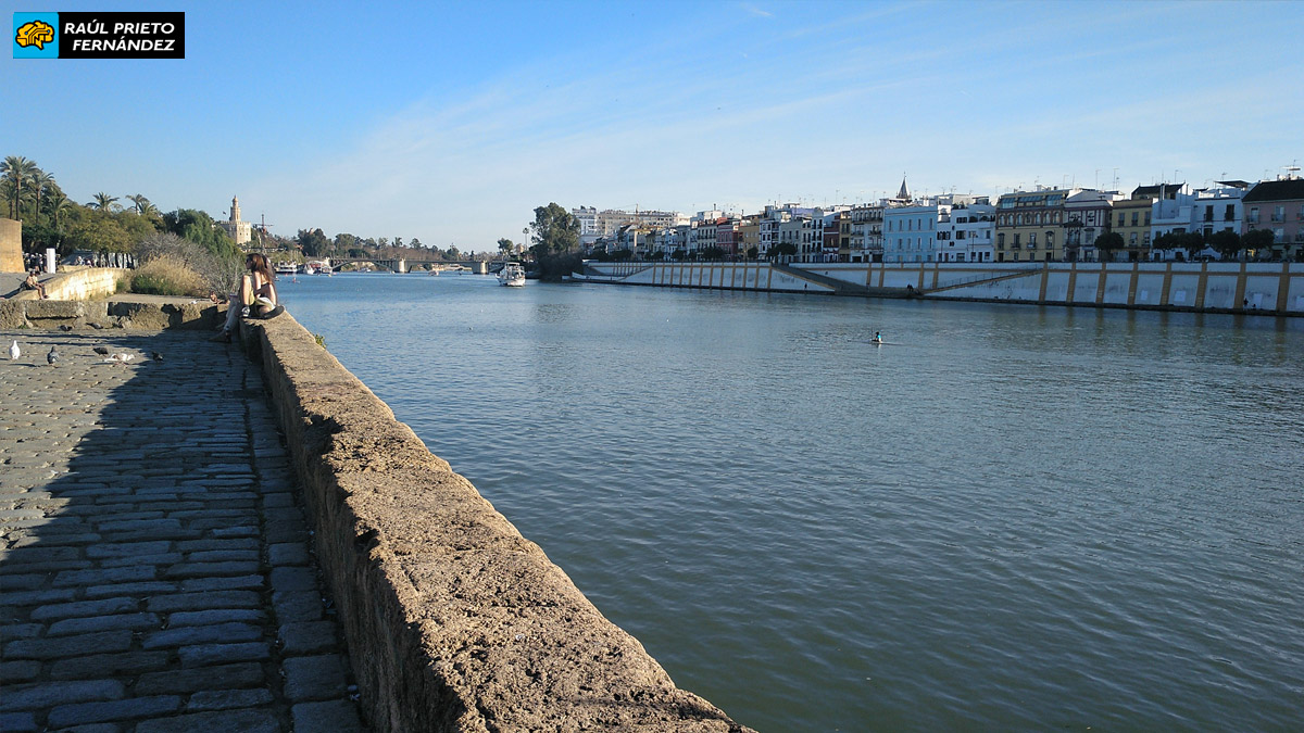 Qué visitar en Sevilla