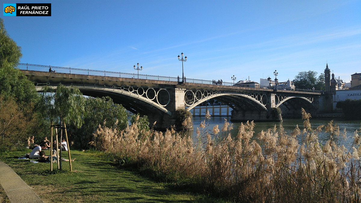 Qué visitar en Sevilla
