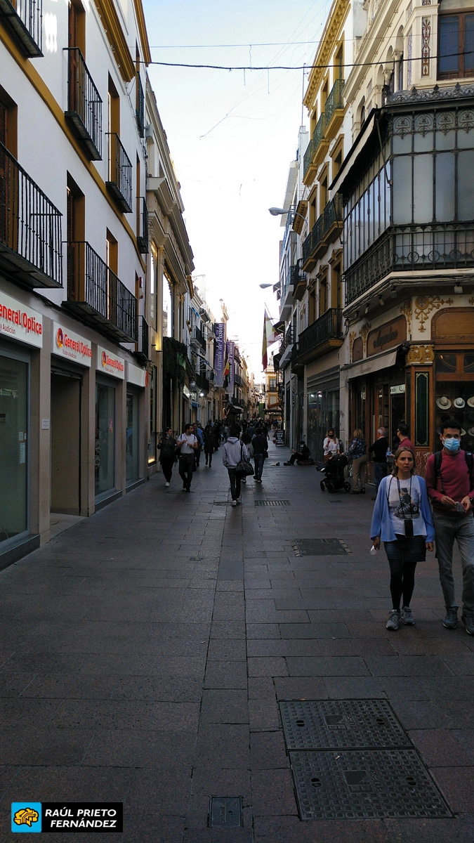 Qué visitar en Sevilla
