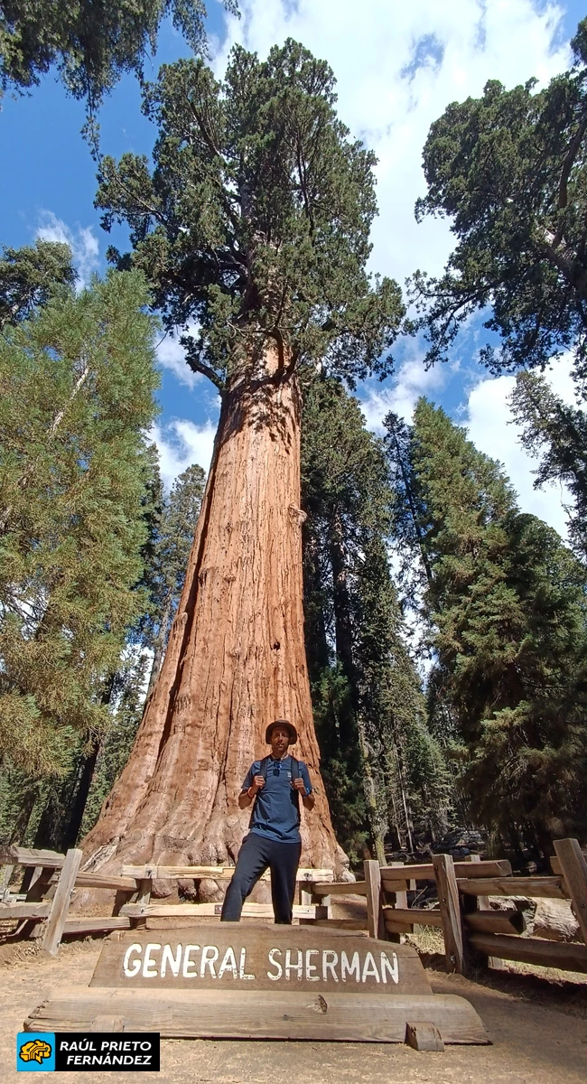 Qué visitar en California