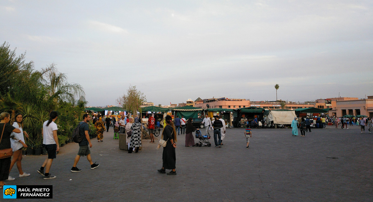 Qué visitar en Marrakech