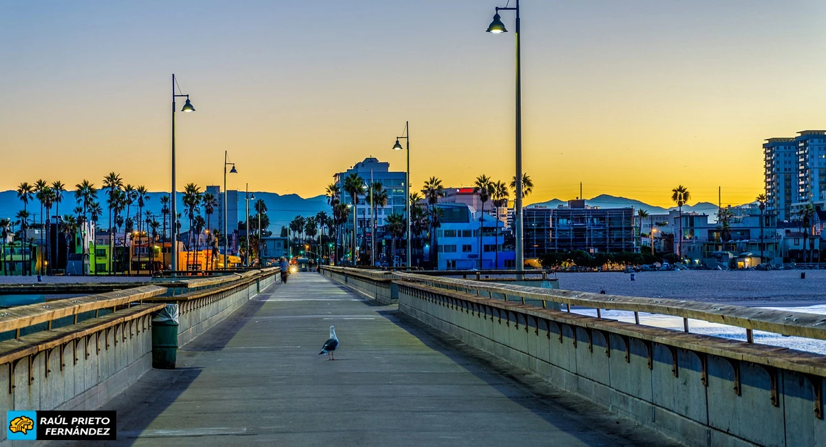 Qué visitar en Venice Beach