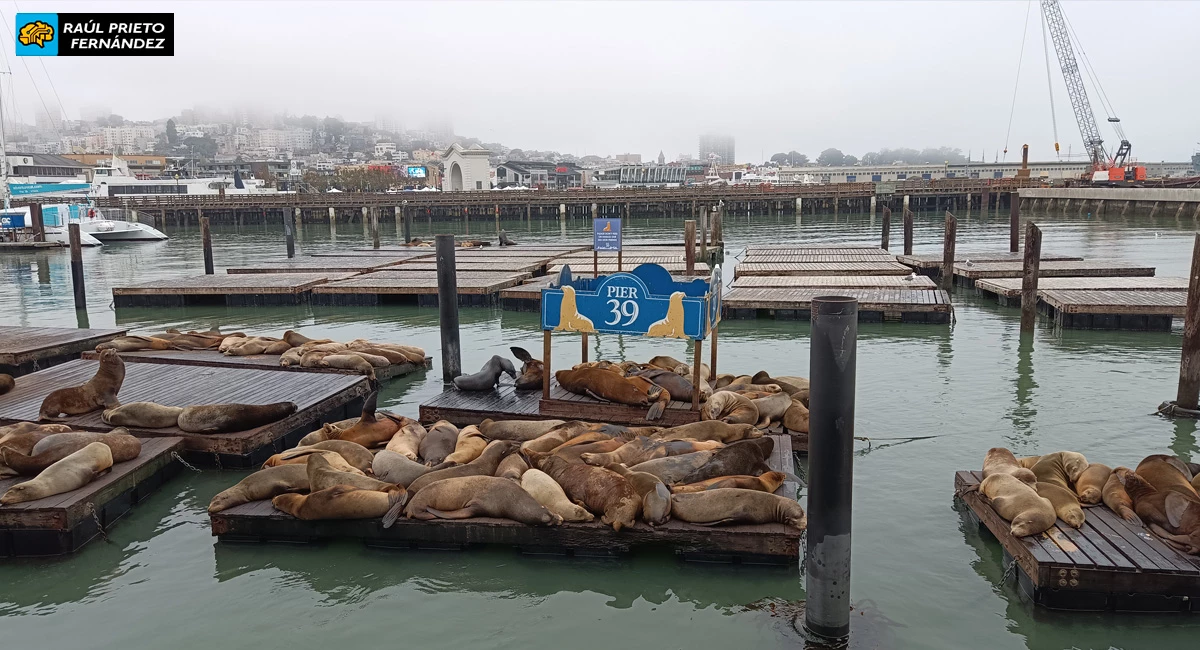 Qué ver en San Francisco