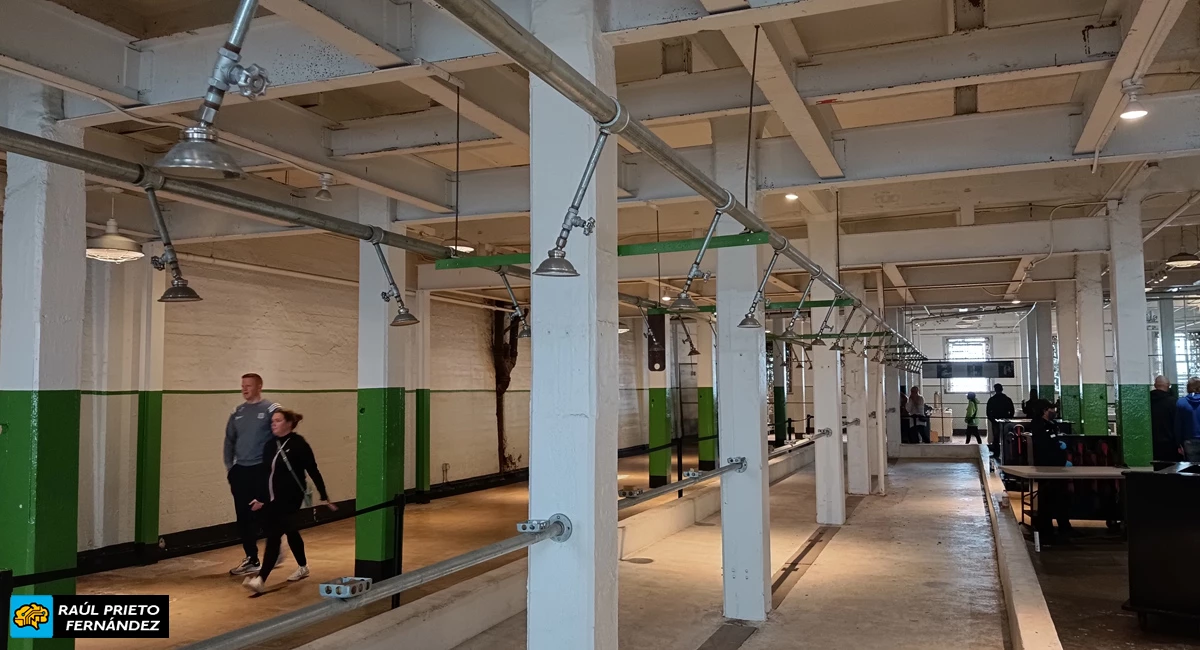 Cómo visitar Alcatraz