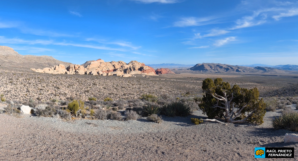 Qué visitar en Red Rock Canyon