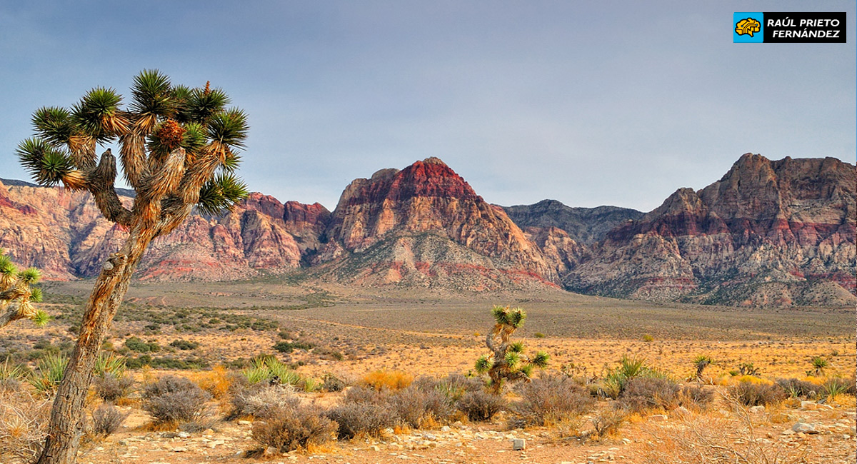 Qué visitar en Red Rock Canyon