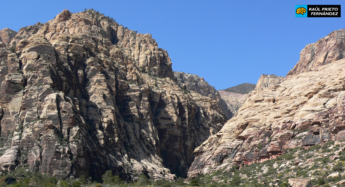 Qué visitar en Red Rock Canyon