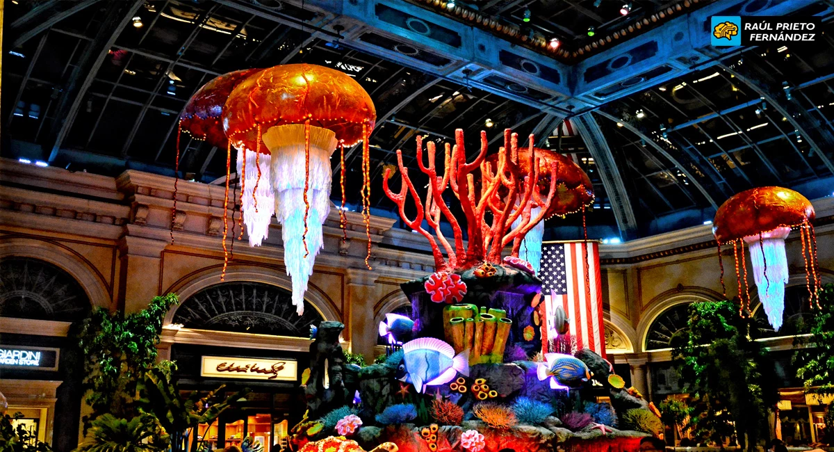 Qué visitar en Las Vegas