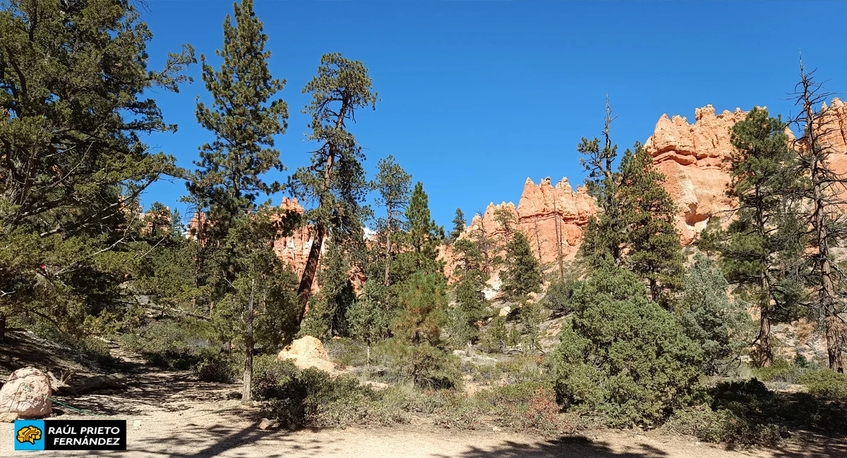 Qué visitar en Bryce Canyon