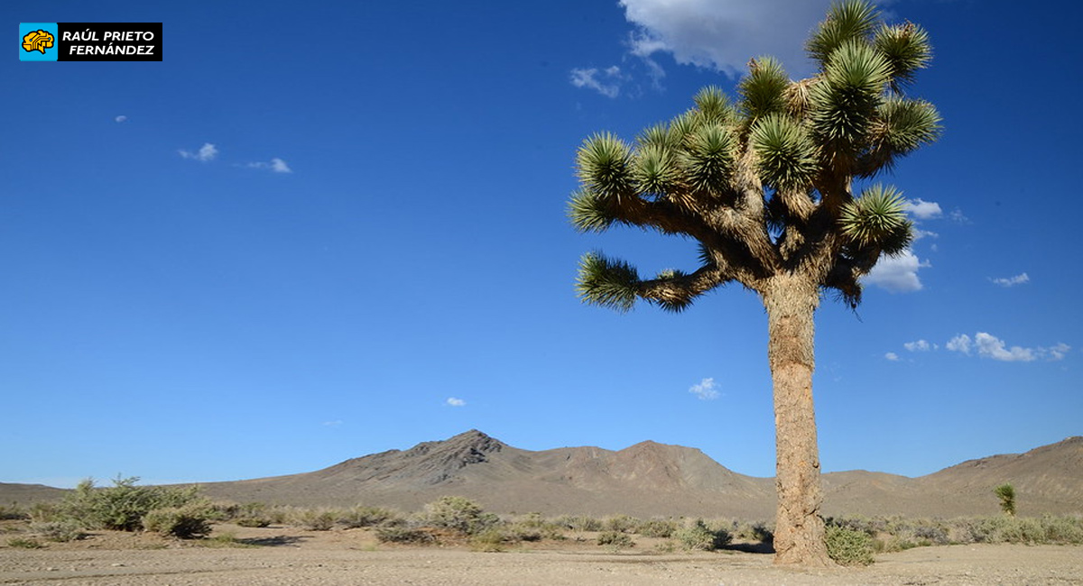 Qué visitar en Death Valley