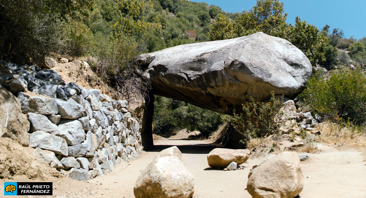 Qué visitar en Sequoia National Park