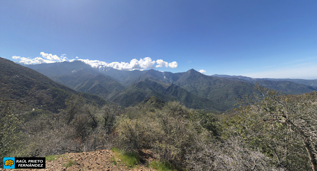 Qué visitar en Sequoia National Park