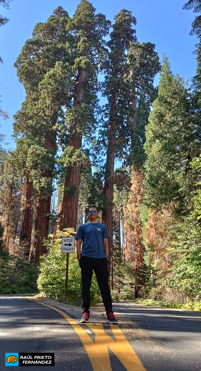 Qué visitar en Sequoia National Park