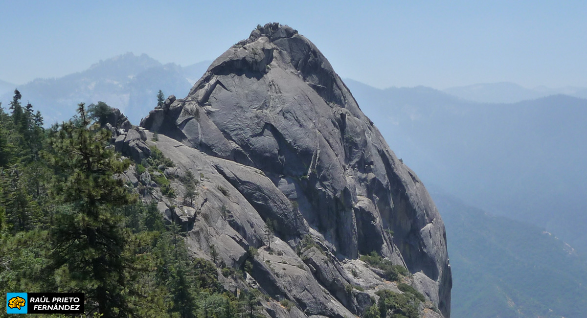 Qué visitar en Sequoia National Park
