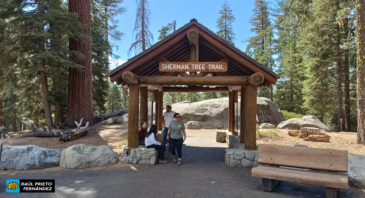 Qué visitar en Sequoia National Park