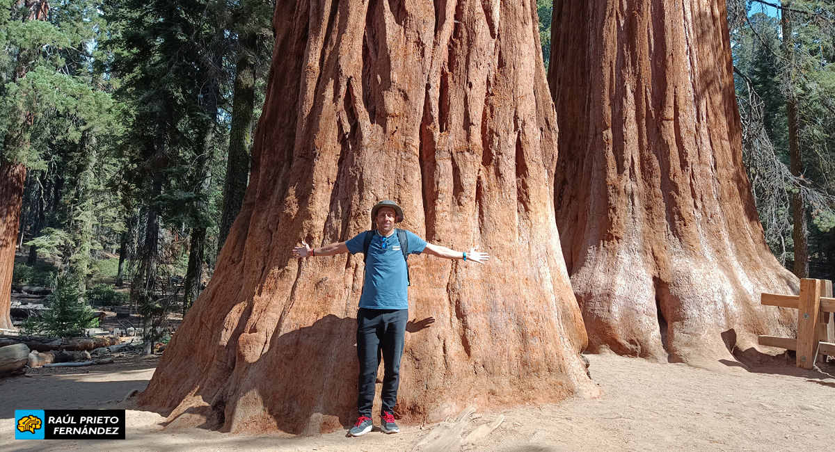 Qué visitar en Sequoia National Park