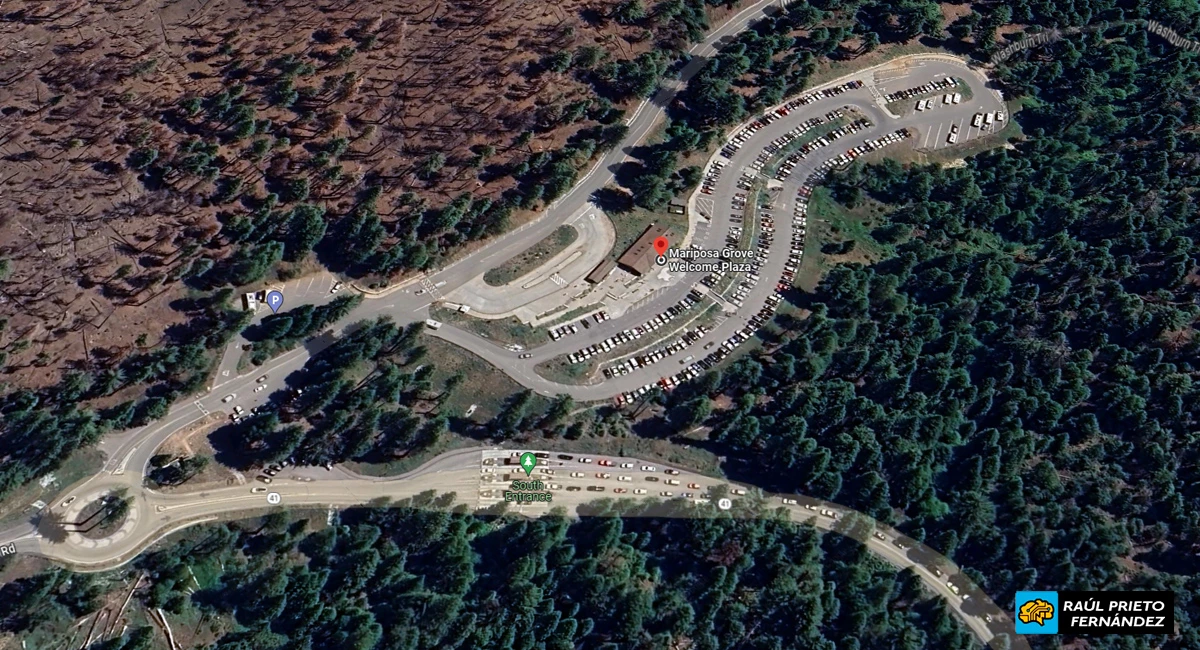 Qué visitar en Mariposa Grove