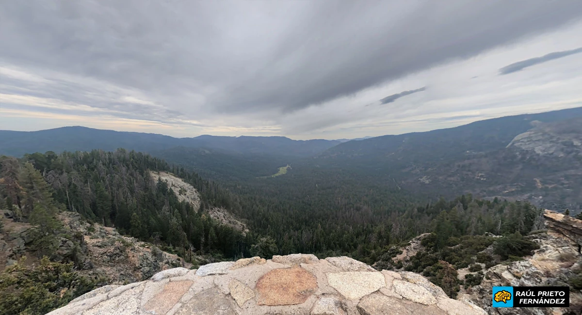 Qué visitar en Mariposa Grove