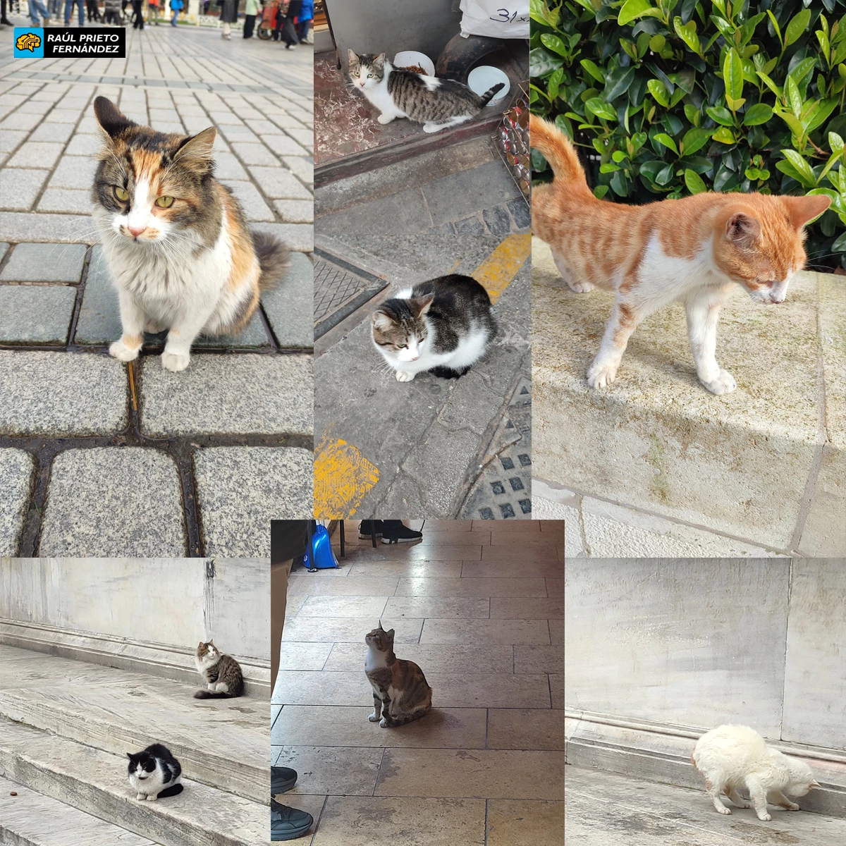 Qué visitar en Estambul