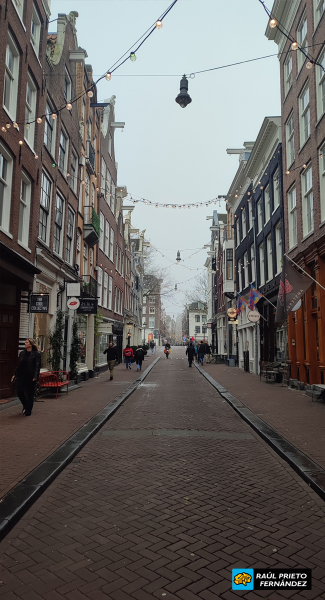 Qué visitar en Ámsterdam