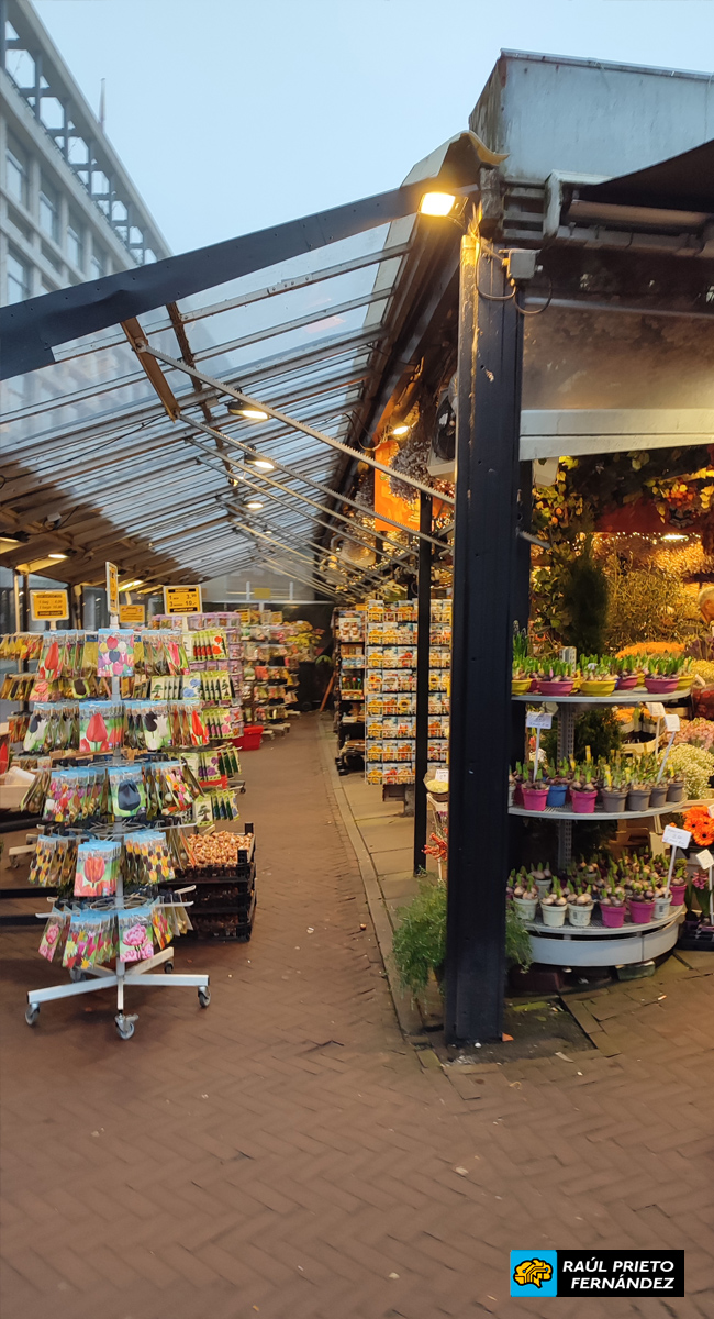 Qué visitar en Ámsterdam