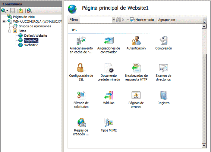 VirtualHost IIS