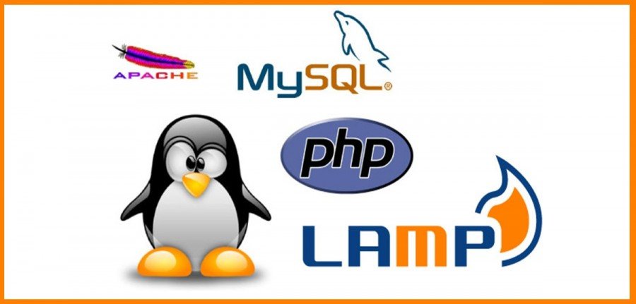 👉 Cómo instalar Apache, MySQL, PHP y PHPMyAdmin en GNU/Linux Debian 🔥