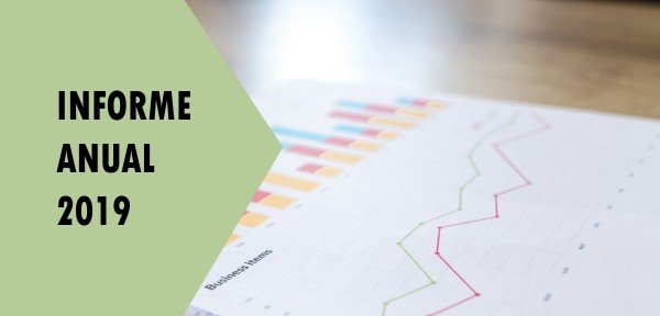 ▷ Informe Anual 2019