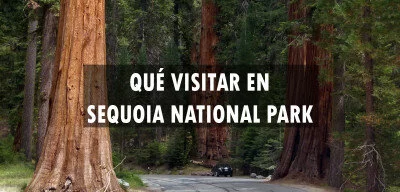 ▷ Qué visitar en Sequoia National Park