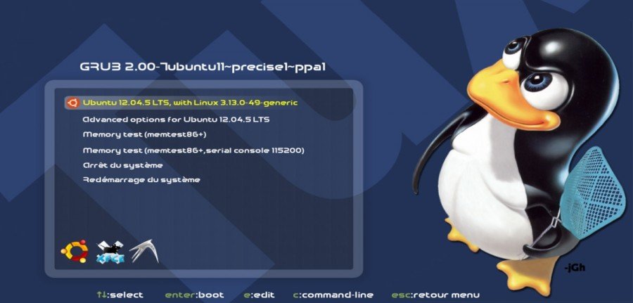 Cómo entrar en modo mantenimiento ó single user en GNU/Linux